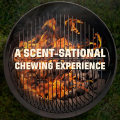 Barkworthies USA Hickory Smoked Beef Stick Treats - 15 Count (Pack of 1) - All-Natural, Smoky Aroma, Crunchy, Great for Training