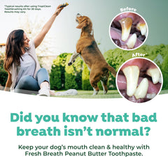 TropiClean Fresh Breath - Dog Toothpaste - Dog Teeth Cleaning Peanut Butter & Honey Flavor