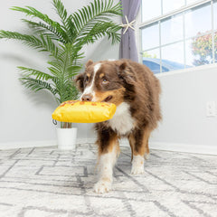 SPOT by Ethical Products - Fun Candy - Whimsical Funny Dog Squeak Toys