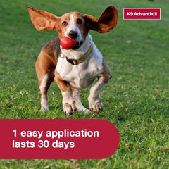 Elanco K9 Advantix II Dog Vet-Recommended Flea, Tick & Mosquito Treatment & Prevention | 4-Mo Supply