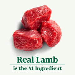 Nutro Natural Choice Adult Large Breed Dry Dog Food, Lamb and Brown Rice Recipe 36 lbs.