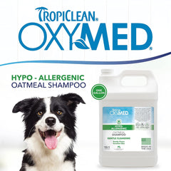 TropiClean OxyMed Hypoallergenic Dog Shampoo for Allergies and Itching, Skin Soothing Shampoo for Pets with Sensitive Skin