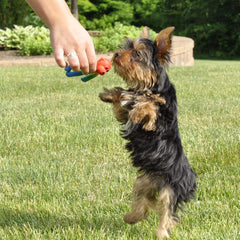 Coastal LiL Pals Latex Monkey Dog Toy