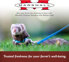 Marshall Pet Products Natural pH Balanced, Tearless Original Ferret Deodorizing Shampoo with Baking Soda, Baby Fresh Scent, 8 oz