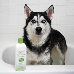 Veterinary Formula Smart Coat Complex Triple Strength Dirty Dog Concentrated Shampoo – DirtRepel Tech Cleans Extra Dirty and Smelly Dogs – Contains Shea Butter and Aloe Vera to Soothe