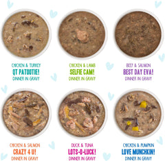 Weruva B.F.F. OMG - Best Feline Friend Oh My Gravy!, Variety Pack, Rainbow Road, Wet Cat Food by