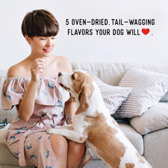 Farmland Traditions New Filler Free Dogs Love Pork Premium Jerky Treats for Dogs