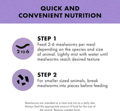 Zilla Reptile Munchies, Mealworms, All-Natural, Dehydrated Mealworms, Ideal for Bearded Dragons, Leopard Geckos, Chameleons and other lizards, Resealable Bag