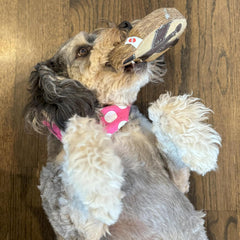 SPOT Dura-Fused Chunkies All Natural Leather and Felt Dog Toy - No Squeak, No Fluff, Durable, Extra Thick Dog Chew Toy for Aggressive Chewers, Great for Adult Dogs and Teething Puppies