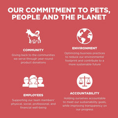 Go! Solutions Sensitivities Limited Ingredients, Grain-Free Dry Dog Food, Salmon Recipe for Sensitive Stomach