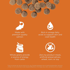 Go! Solutions Skin + Coat Care, Dry Dog Food, Salmon Recipe with Grains