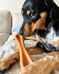 Nylabone Baguette Power Chew Toy for Dogs, Dog Toys for Aggressive Chewers, Roast Chicken Flavor, Large Dogs - Up to 50 lbs, 1 Count