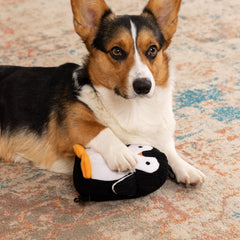 Strong 'N Silent Penguin Silent Squeak Plush Dog Toy, Chew Guard Technology - Black/White, Medium