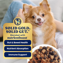Solid Gold Toy & Small Breed Dog Food Dry Small Bites – Real Bison & Healthy Whole Grain Dogfood – Potato Free, High Fiber Healthy Dog Kibble w/Probiotics for Gut Health – NutrientBoost™ 11-lb