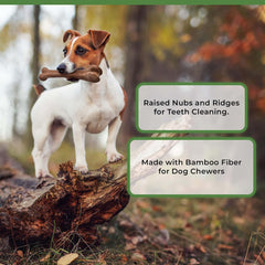 SPOT Bam-Bones Bone - Made with Strong Bamboo Fiber, Durable Long Lasting Dog Chew for Light to Moderate Chewers, Great Toy for Adult Dogs & Teething Puppies Under 25lbs, Bacon Flavor