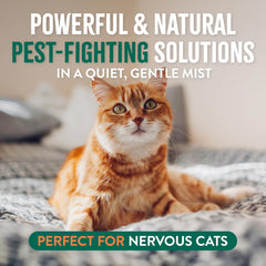 TropiClean Cat Flea and Tick Treatment Spray, Continuous Gentle Mist, Prevent & Control by Contact, Powerful & Natural Defense 14 oz