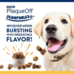 NaturVatProDen PlaqueOff Scoopables - Hickory Smoked Bacon Flavor Dental Bites for Large Dogs, Natural Kelp for Plaque & Tartar Control, Freshens Breath -Large & Giant Breed Dental Care