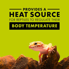 Zilla Incandescent Bulb, Day White