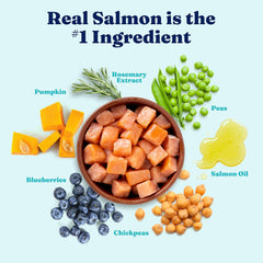 Solid Gold Salmon Dog Food for Sensitive Stomachs – Grain Free & Gluten Free Kibble w/Probiotics to Support Gut Health & Digestion - Sensitive Stomach Dog Food for All Ages – Nutrientboost™ 22-lb