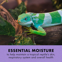 Zilla Tropical Mist Humidity Spray, Ideal for All Tropical Reptiles and Amphibians