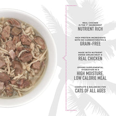 After Dark, Variety Pack, High-Protein and 100% Non-GMO Ingredients, Wet Cat Food for Adult Cats