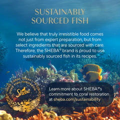 Sheba Perfect Portions Wet Cat Food Cuts in Gravy Variety Pack, Roasted Chicken Entree, and Tender Turkey Entree