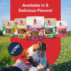PLATO Pet Treats Jerky Dog Treats - Air-Dried Beef Jerky with Mushroom - Grain Free, High Protein