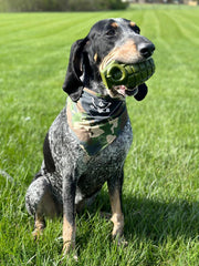 O.G.B. Operation Good Boy Durable Grenade Dog Toy - Patriotic Military Gear Inspired Chew Toy - Durable,Teething, and Interactive Play, Stuffable with Treats