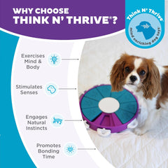 Nina Ottosson Dog Twister Treat Puzzle Enrichment Toy, Level 3 Advanced, Purple