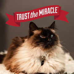 Nature's Miracle Intense Defense Odor Control Litter, 20 Pounds, Odor Control