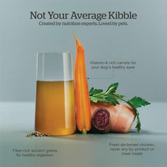 Now Fresh Good Gravy, Bone Broth Coated Kibble, Dry Dog Food, Chicken Adult Recipe with Grains, All Breed Size