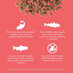 Go! Solutions Carnivore, Grain-Free, Protein Rich Dry Cat Food, Salmon and Cod Recipe