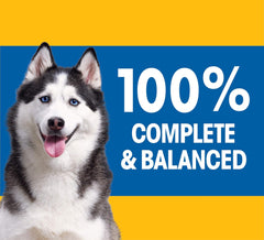 Pedigree High Protein Adult Dry Dog Food Beef and Lamb Flavor Dog Kibble 44 lb