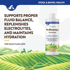 NaturVet Pet Electrolyte Concentrate for Dogs and Cats, 16 oz Liquid Concentrate, Made in The USA with Globally Source Ingredients