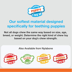 Nylabone Puppy Chew Teething Bone, Toys for Teething Puppies, Chicken Flavor