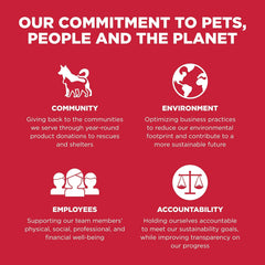 Go! Solutions Skin + Coat Care, Dry Dog Food, Lamb Recipe with Grains