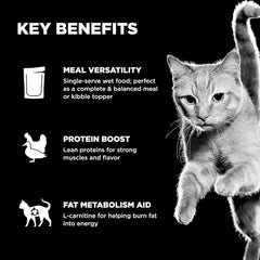 Go! Solutions Booster Weight Management, Grain-Free Wet Cat Food Topper, Shredded Chicken and Duck in Broth, 2.5 oz Pouch (Pack of 12)