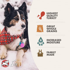 Fromm Turkey Pate Dog Food - Premium Wet Dog Food - Turkey Recipe - Case of 12 Cans