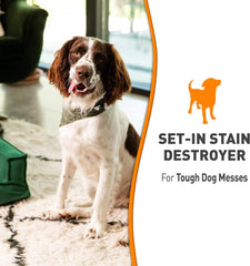 Nature’s Miracle Set-In Stain Destroyer Dog, Oxy Formula With Orange Scent