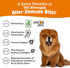 Zesty Paws Vet Strength Dog Allergy Relief Chews, Dog Probiotics for Itchy Skin and Ears, Smoked Cheese, 90ct