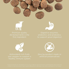 Go! Solutions Carnivore, Grain-Free, Protein Rich Dry Dog Food, Lamb and Wild Boar Recipe