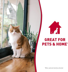 Nature's Miracle Advanced Stain and Odor Eliminator Foam Cat 17.5 Ounces, for Severe Cat Messes, Aerosol