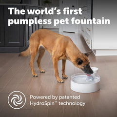 PetSafe Outlast Pumpless Cat & Dog Water Fountain