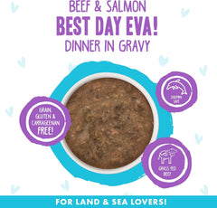 Weruva B.F.F. OMG - Best Feline Friend Oh My Gravy!, Best Day Eva! with Beef & Salmon in Gravy Cat Food