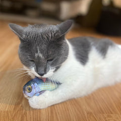 SPOT Fanatic Fish - Plush Cat Toy with Catnip and Crinkle Sound, Realistic Looking Fish Toy for Cats & Kittens to Cuddle, Chase, Hug, Kick, and Swat -6.5in, 1 Piece