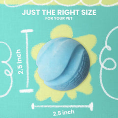 Snugarooz Sky Bounce Ballz Dog Toy – TPR High-Bouncing Fetch Balls – Floats on Water – Durable & Fun for Dogs of All Sizes