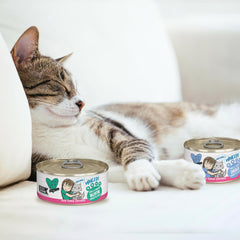 Weruva Best Feline Friend (B.F.F.) Tuna & Shrimp Sweethearts with Red Meat Tuna & Shrimp in Gravy Cat Food