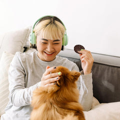 Exclusively Dog Cookies Sandwich Cremes S'Mores Flavor Dog Treats for Medium and Large Dogs, Natural and Made in The USA, 8 oz