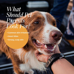 Veterinary Formula Clinical Care Dog Shampoo with Oatmeal and Tea Tree Oil – Gentle Shampoo for Dogs with Dry Skin, Soothes and Adds Moisture to Skin and Coat