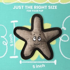 Snugarooz Baby Sophie The Starfish Dog Toy with Repair Patch - Durable Plush with Squeaker & Crinkle Sounds - Ideal for Fun Playtime Adventures